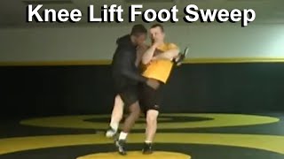 Knee Lift Foot Sweep Finish - Cary Kolat Wrestling Moves