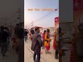 Magh Mela Prayagraj🙏 #up #devotional #kumbh #maghmela #trending #ytshorts