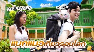 คุณมณี แมวไทยเปอร์เซียที่บินไปเที่ยวกว่า100ที่ทั่วโลก! | ติดเต๋า