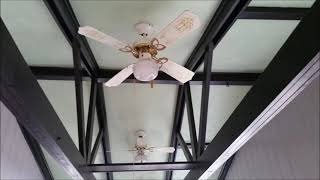Slideshow of Ceiling Fan Pictures #6 UPDATED WITH MUSIC