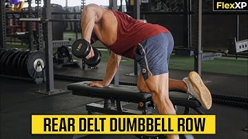 Rear Delt Dumbbell Row Form & Tutorial Guide (30 Seconds) - FlexXP