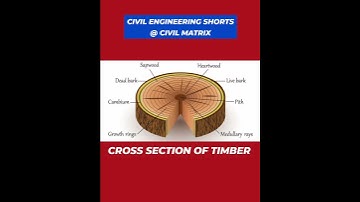 CIVIL ENGINEERING SHORTS | CROSS SECTION OF TIMBER | CIVIL MATRIX | #civilengineering #shorts