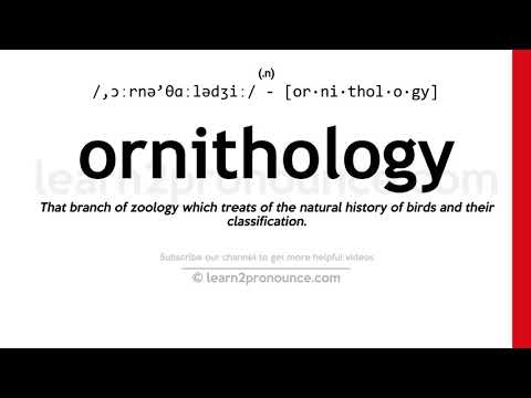 Pronunciation of Ornithology | Definition of Ornithology