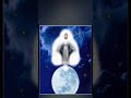 Las Virtudes de María: Ejemplo de Fe y Obediencia Divina