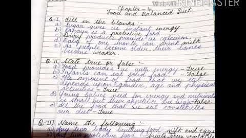 MLZS JHANSI CLASS 3 EVS Food and Balanced Diet Notebook Work Lecture 1