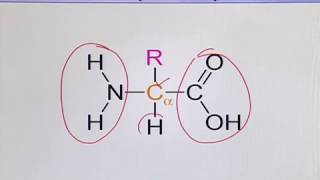 BIO731 Topic021