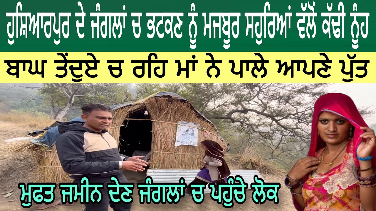ਹੁਸ਼ਿਆਰਪੁਰ ਦੇ ਜੰਗਲਾਂ ਚ ਭਟਕਣ ਨੂੰ ਮਜਬੂਰ ਸਹੁਰਿਆਂ ਵੱਲੋਂ ਕੱਢੀ ਨੂੰਹ | ਮੁਫਤ ਜਮੀਨ ਦੇਣ ਜੰਗਲਾਂ ਚ ਪਹੁੰਚੇ ਲੋਕ