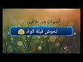 طاڨين لحوش ڨبلة الواد