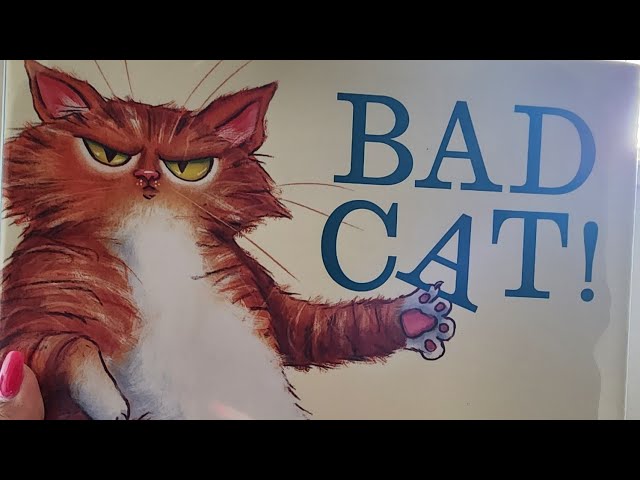 😾Bad Cat (Read Aloud books for children)