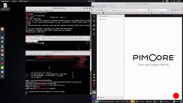 Pimcore File Upload RCE