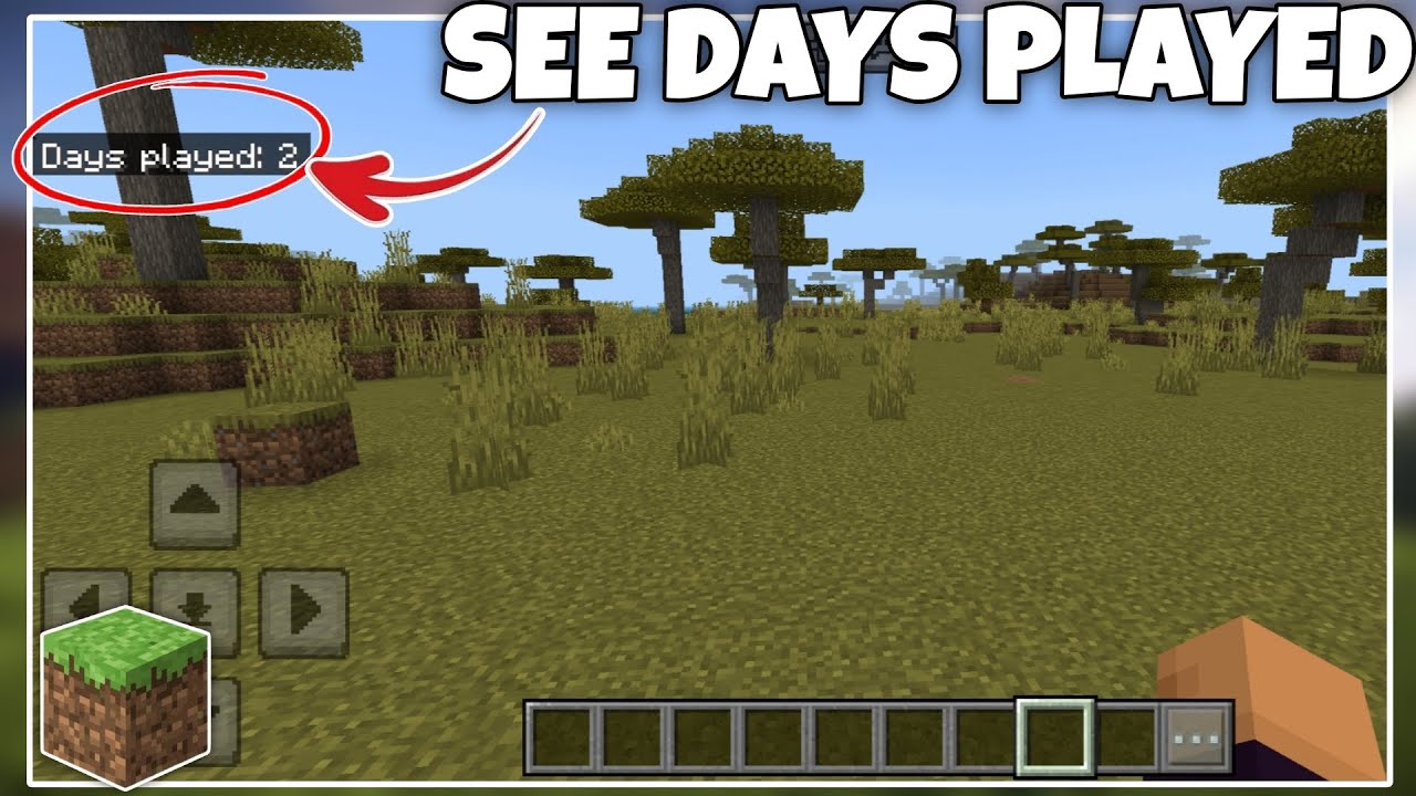 How to Show Days Played in Minecraft - Quick Tutorial - YouTube