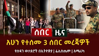 ሰበር - አሁን የተሰሙ 3 ሰበር መረጃዎች | የሱዳን ወታደሮች በኢትዮጵያ | ፊሊስጤም | አሜሪካ