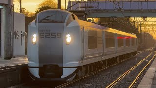（4005M）（約2分遅延）E259系横クラNe011編成［#特急しおさい5号銚子行］飯岡駅1番線ホーム発着#鉄道 #ジョイント音 #総武本線 #e259系 