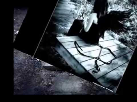 هاني شاكر جرحي أنا 