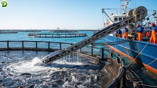 Download lagu AMAZING! Ocean Cage Fish Farm Helps Farmers Earn Millions - Modern Technology