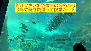 【休みの日】ゴールデンウィーズ前半戦は新江ノ島水族館