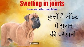 swelling in joint । Leakage of sinovial fluid । homeopathic medicine । by Durabull kennel 92 views 3 months ago 4 minutes, 52 seconds