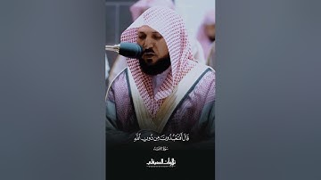 ﴿قالوا مَن فَعَلَ هذا بِآلِهَتِنا إِنَّهُ لَمِنَ الظّالِمينَ ۝ 🍀اجمل تلاوات القارئ ماهر المعيقلي 🌾