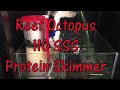 Reef Octopus 110sss Protein Skimmer Review