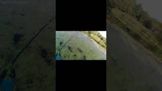 Взял и прикормил это место.#рыбалканапоплавок #рыбалка  #fishing