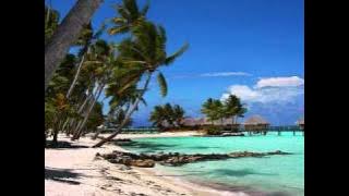 Canon D Classical Reggae Style Remix (multi-genre)