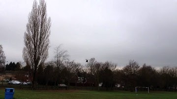 trex 250 dfc inverted flips