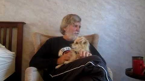 "Collapse Operating System" In the Works For Our Post-Apocalyptic Future