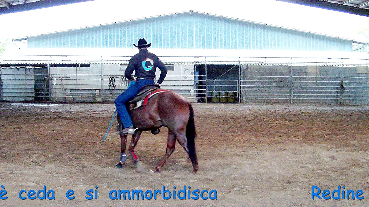 Esercizi in sella - Arrotondamento alla gamba