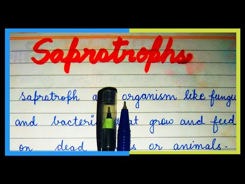 Video: Kādas Baktērijas Sauc Par Saprofītiem