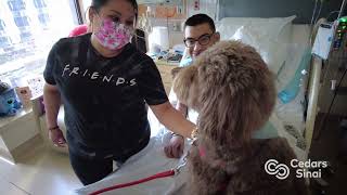 POOCH Volunteers | Cedars-Sinai