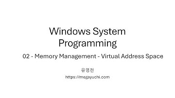 Windows System Programming 강좌 02 Virtual Memory Space, 03 Memory API (잡담 포함 라이브)