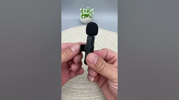 Mini Wireless Lavalier Microphone For iPhone iPad Type C Android Recording Vlog