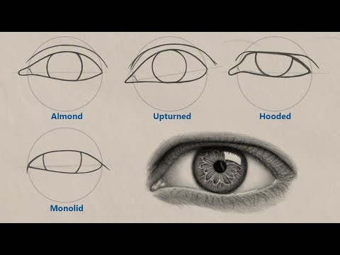 How to Draw Different Eye Shapes | UNIQUE