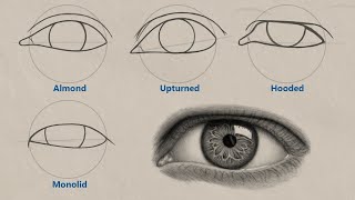 How To Draw Different Eye Shapes Unique