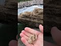 Шумак / Бурятия / Саяны