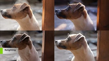 Relight Any Scene with AI: NVIDIA Research Unveils DiffusionRenderer