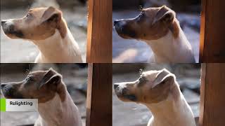 Relight Any Scene with AI: NVIDIA Research Unveils DiffusionRenderer