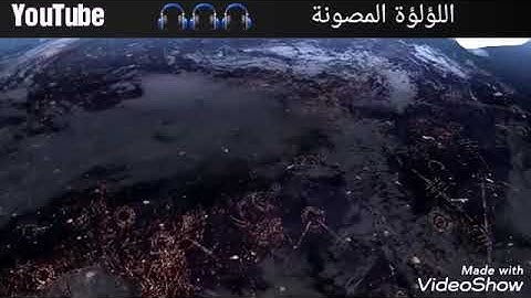انس شهاب من  اجمل التلاوات/ ان كانت الا صيحة واحدة /ارح سمعك 🎧😌