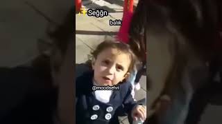 Sen Balık Köpegisini Gördün      #balıkköpegisi