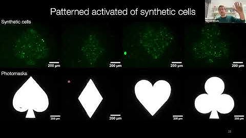 Build-a-Cell seminar Michael Booth: Remote-controlled synthetic cells for biology and medicine
