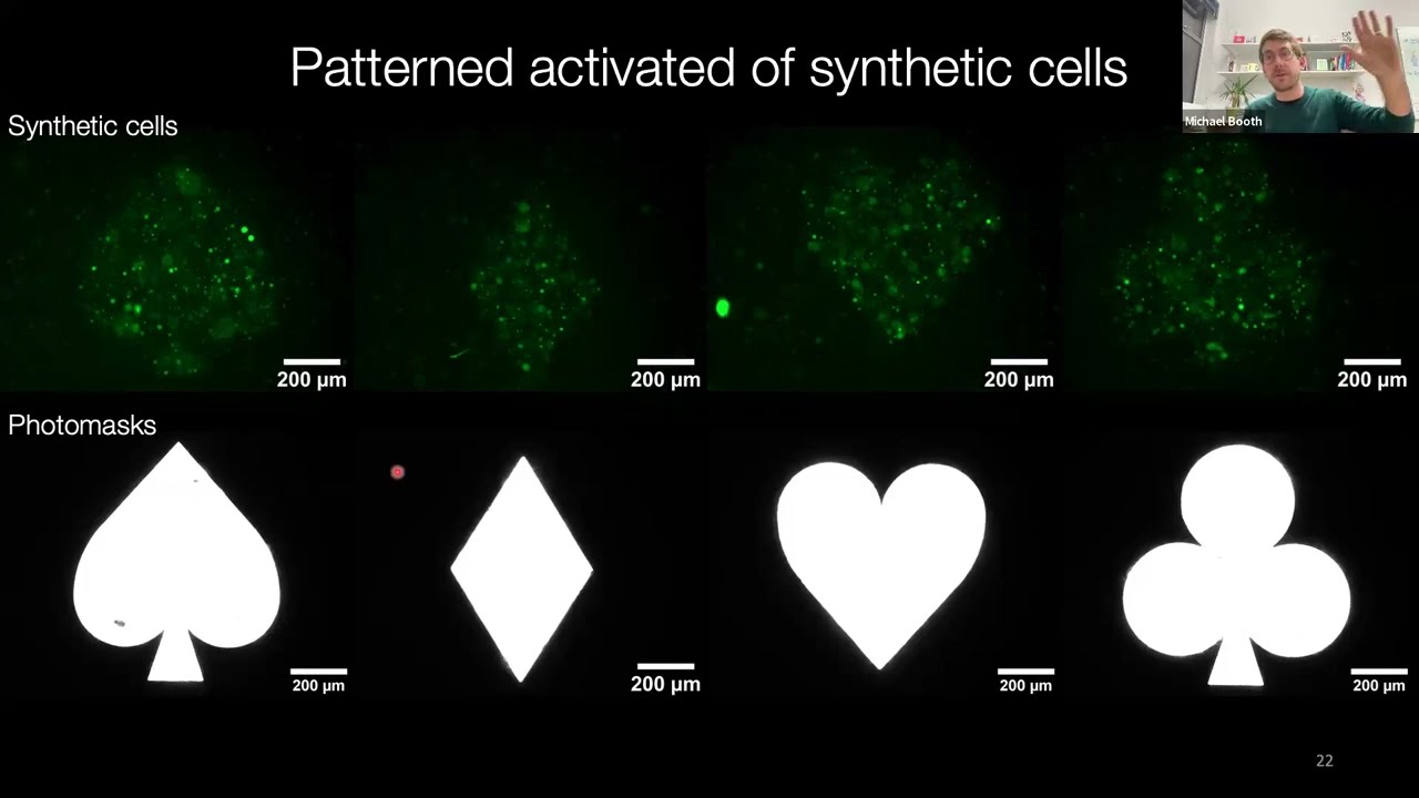 Build-a-Cell seminar Michael Booth: Remote-controlled synthetic cells for biology and medicine