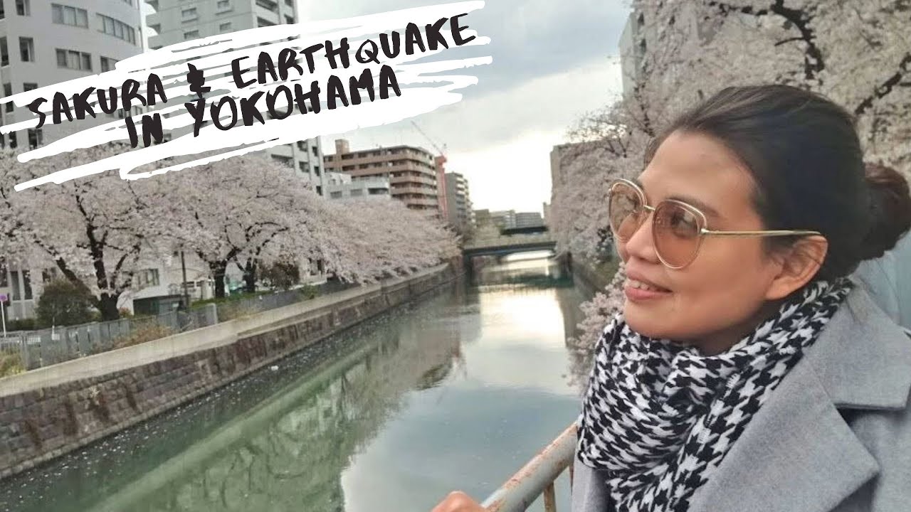 EARTHQUAKE IN JAPAN AND CHERRY BLOSSOMS IN FULL BLOOM ★ Caught on Camera