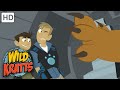 Wild Kratts | Caracal-Minton | Full Episode | Season 1