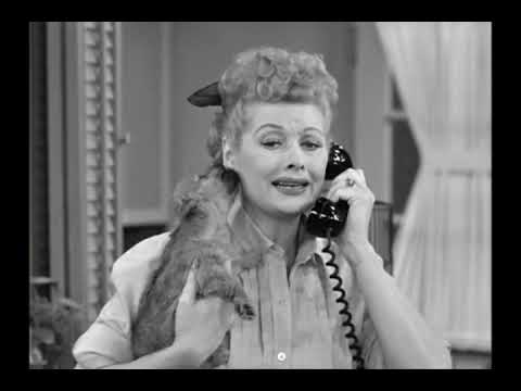 I Love Lucy Little Ricky Brings Home A Puppy His Parents Try To Tell Him To Take It Back