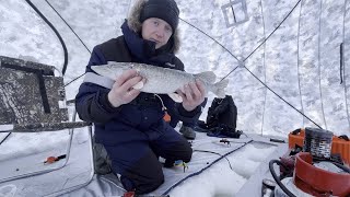 видео: РЫБАЛКА В -30 ЛЮТЫЙ МОРОЗ / Рыбалка на жерлицы и балансир / Зимняя рыбалка 2024 февраль в глухозимье картинка: РЫБАЛКА В -30 ЛЮТЫЙ МОРОЗ / Рыбалка на жерлицы и балансир / Зимняя рыбалка 2024 февраль в глухозимье