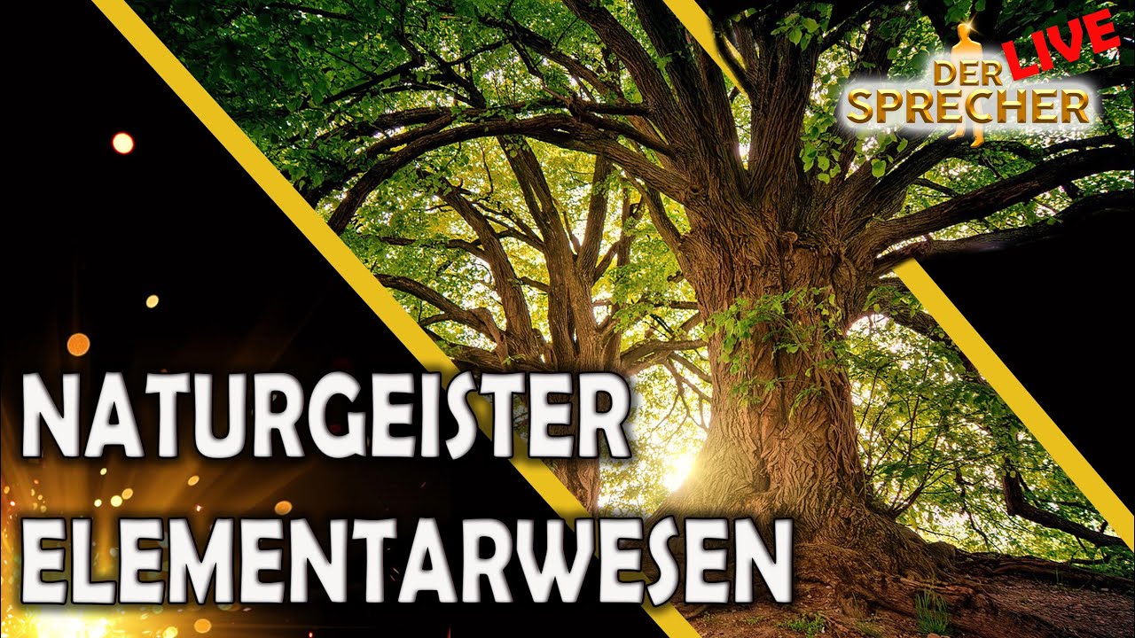 Naturgeister \u0026 Elementarwesen