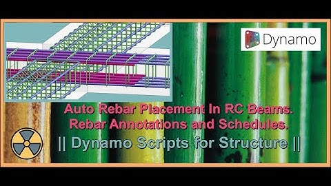 DSFS   Auto Rebar Creation for RC Beams and Schedules + Annotations