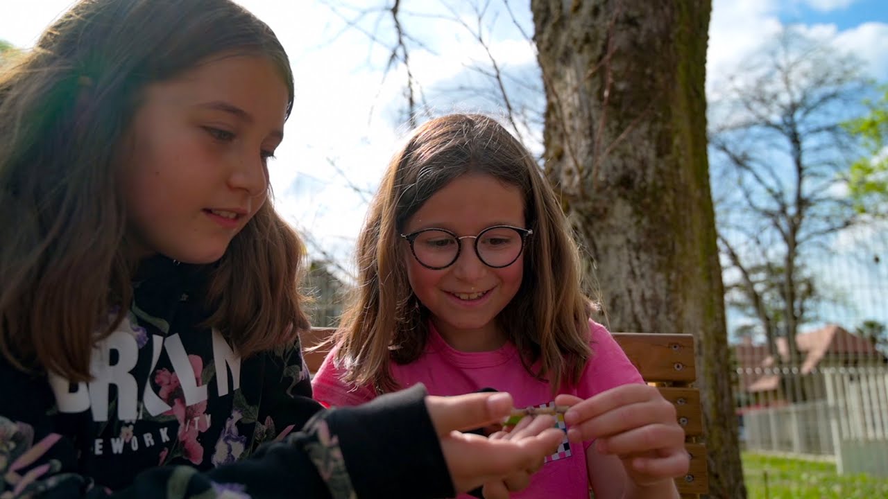 Le métier d'animateur périscolaire