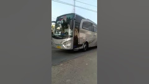 Basuri bus pariwisata"baby rayyan"#shorts#basuri#busmania