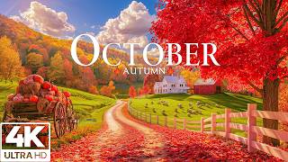 October 4K A Journey Through Fall Foliage Crimson Forests And Golden Autumn Landscapes